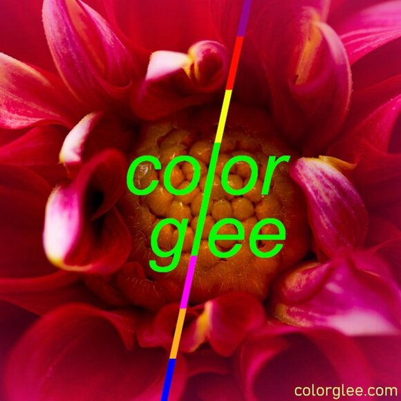 Kylie Anna Marie Sweet Heart Minimalist Bracelet Creamy White Gift Packaged - Picture 5 of 9